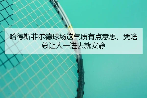 哈德斯菲尔德球场这气质有点意思，凭啥总让人一进去就安静
