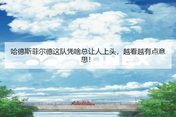 哈德斯菲尔德这队凭啥总让人上头，越看越有点意思！