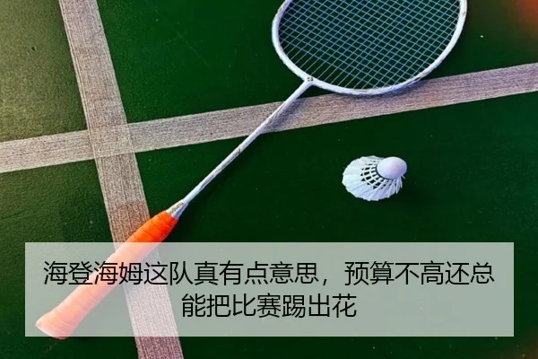 海登海姆这队真有点意思，预算不高还总能把比赛踢出花
