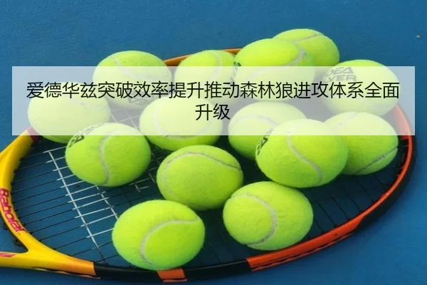 爱德华兹突破效率提升推动森林狼进攻体系全面升级